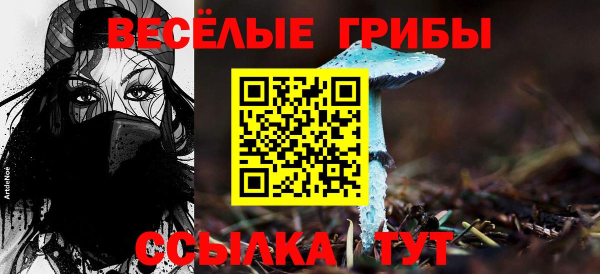 Псилоцибиновые грибы Cubensis  Вход с VPN  Улан-Удэ 