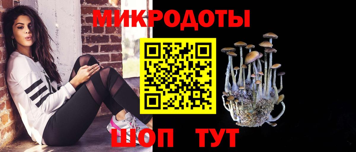 Псилоцибиновые грибы мухоморы Улан-Удэ